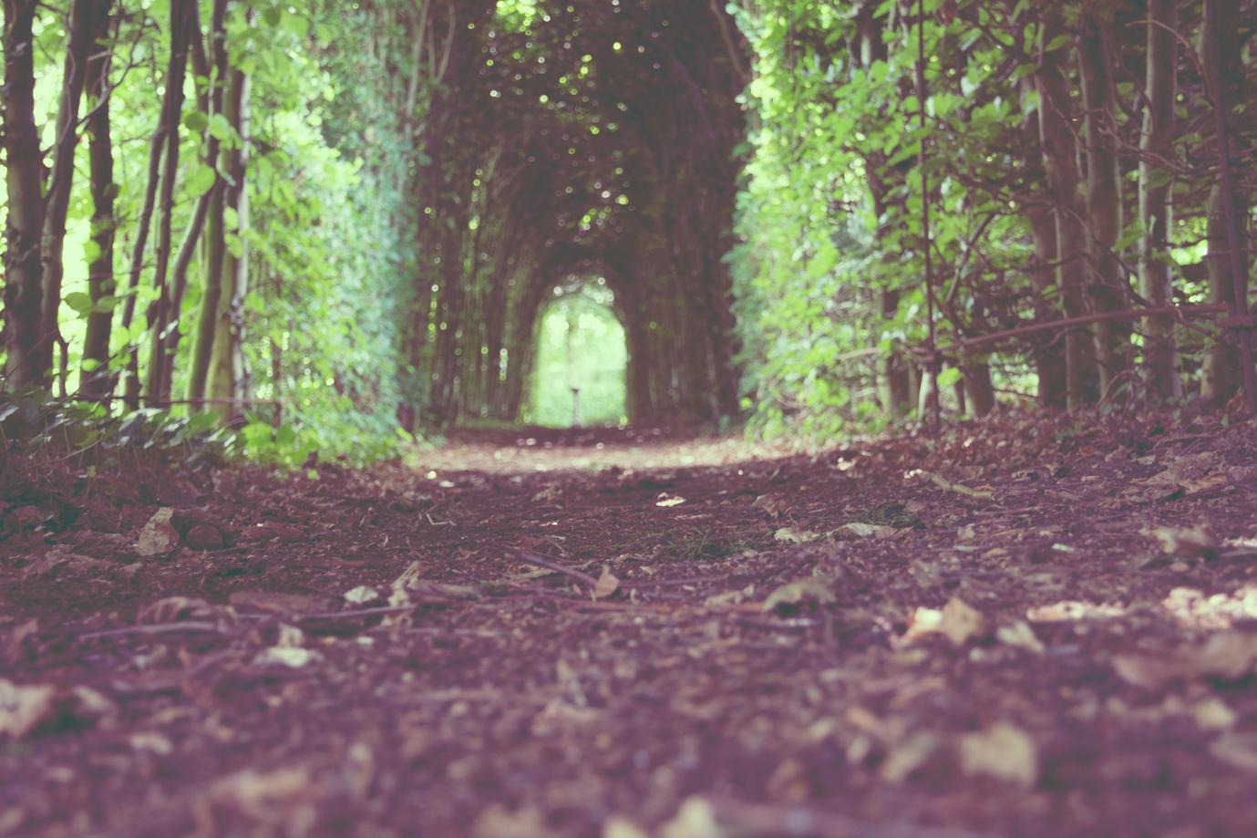 Asperiores occaecati dignissimos illo earum